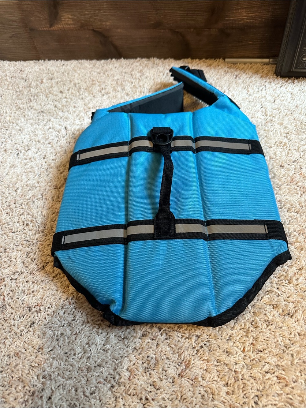 Blue Dog Life Jacket
